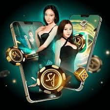 bike 70 Live Casino Tables